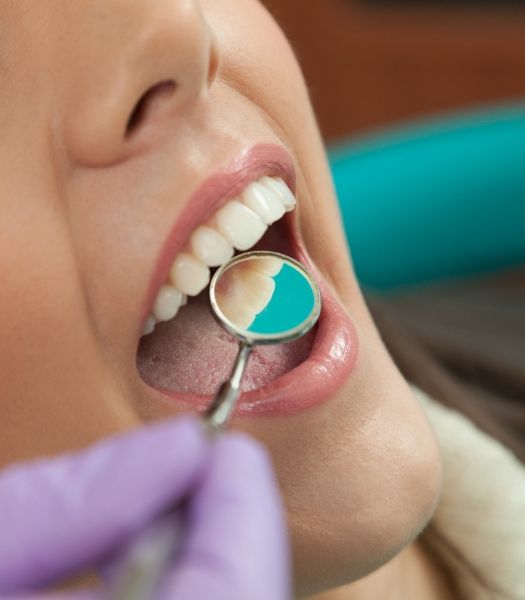 Dentist examining smile after metal free dental restorations